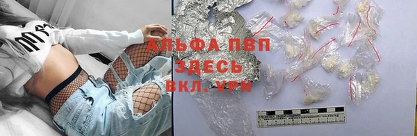 мет Алексин