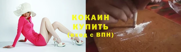 гашик Алексеевка