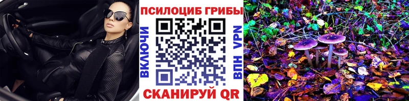кракен маркетплейс  Пикалёво  Галлюциногенные грибы Cubensis 